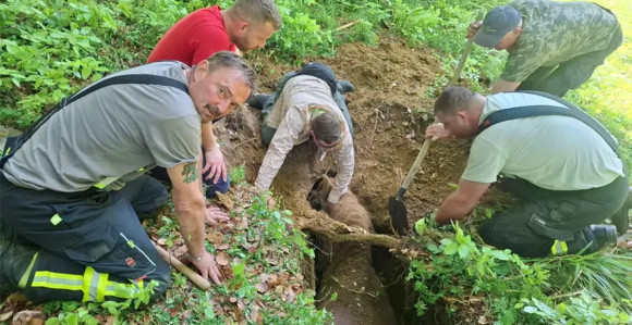 Drama u Hrvatskoj: Kobila i vlasnik upali u jamu
