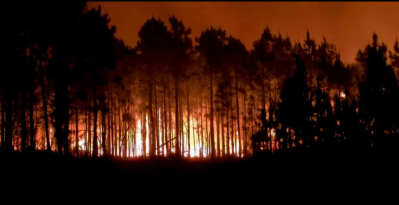 Požari pustoše Džordžiju: Izgorjelo 120 kuća