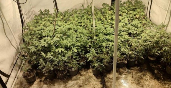 Uhapšena mlađa žena, pronađeno pet laboratorija