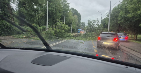 Nevrijeme stiglo u Zagreb: Padala stabla, stali tramvaji