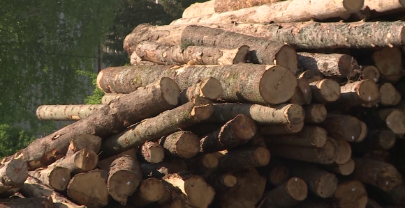 Izvođačima radova u „Šumama“ dodatnih 4,8 miliona maraka