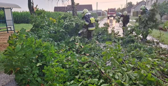 U Hrvatskoj olujni vjetar čupao stabla i rušio krovove