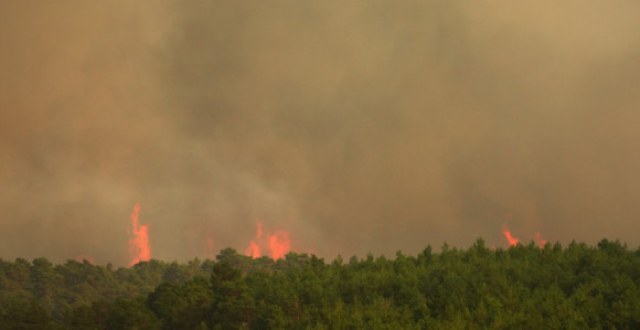 Požari u Španiji i Francuskoj: Hiljade ljudi evakuisano, stiže novi toplotni talas!