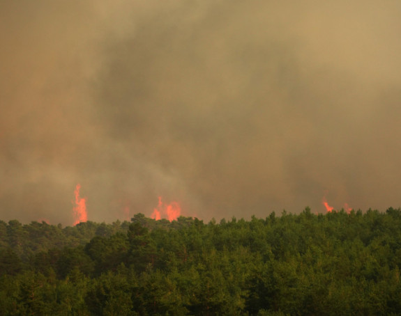 Požari u Španiji i Francuskoj: Hiljade ljudi evakuisano, stiže novi toplotni talas!