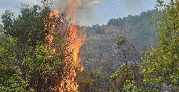Veliki požar kod Gruda: U pomoć stigli Air Tractori