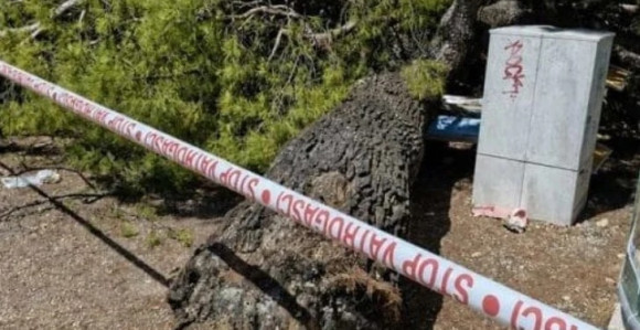 Стабло пало на плажи у Хрватској, повријеђено четворо