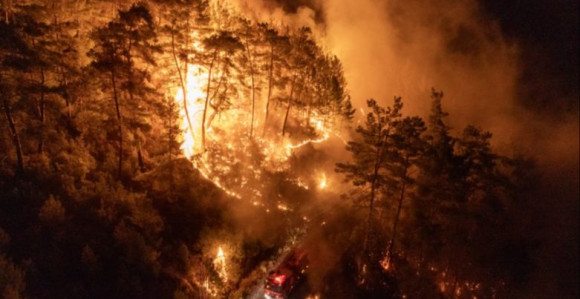 Hapšenja zbog izazivanja požara i velika šumska žarišta