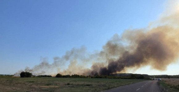 Požar na Švapskoj adi kod Bijeljine se razbuktao