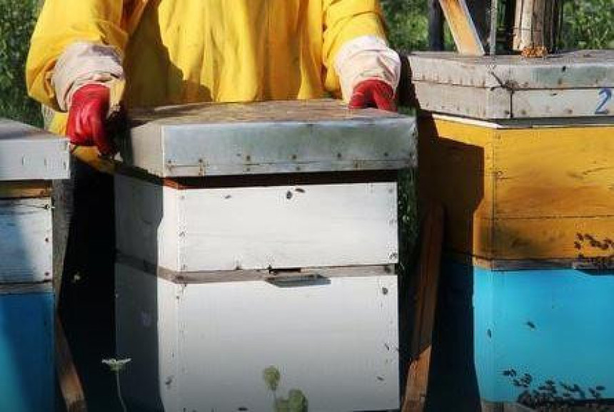 Пчеларство у све тежем положају