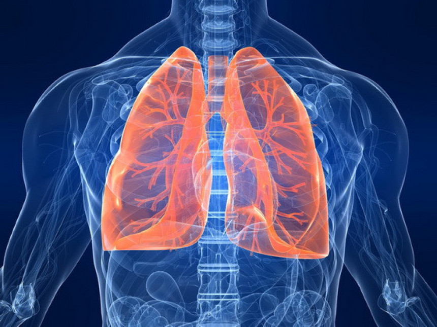  Pluća ne služe samo za disanje