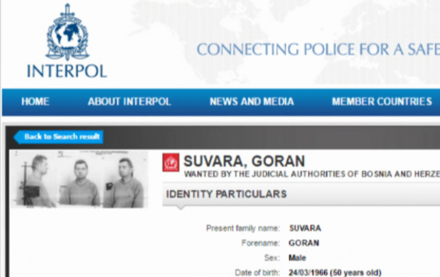 Interpol traži Suvaru, Srbija odgovorna?!