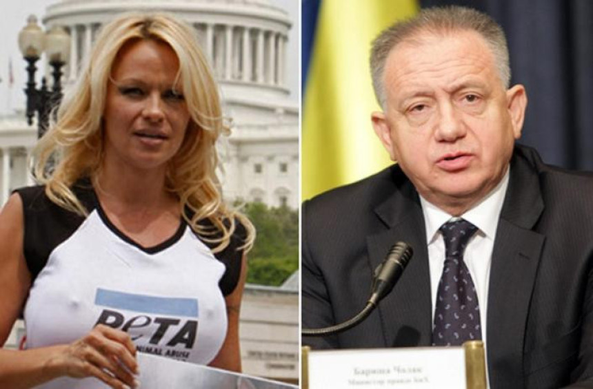 Pamela apelovala na bosanske političare