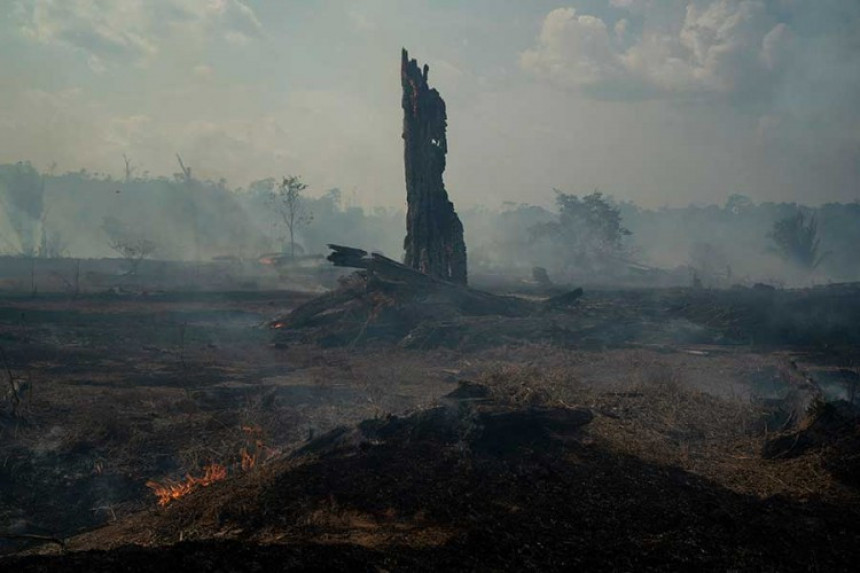 Šteta od požara u Amazoniji se ne može popraviti