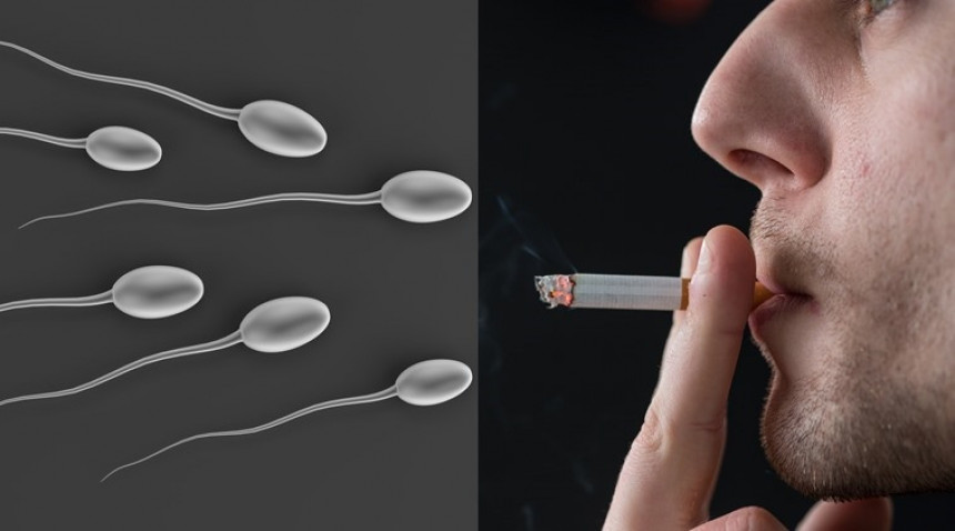 Pušenje utiče na kvalitet sperme